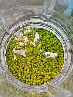 Make oatmeal green bean milk step 3
