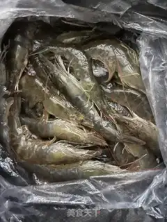 Make Shrimp broccoli step 0