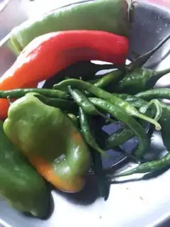 Make Eggs and peppers step 1