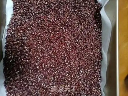 Make Red bean powder step 1