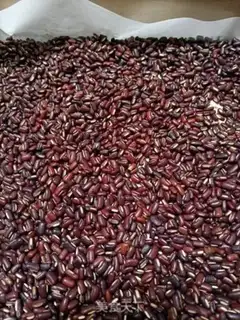 Make Red bean powder step 3