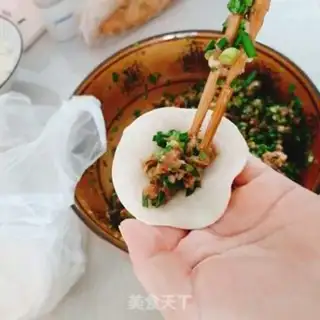 Make Pork dumplings step 5