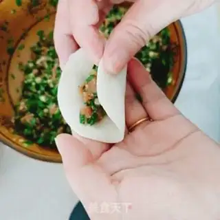 Make Pork dumplings step 6