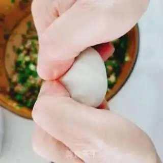 Make Pork dumplings step 7
