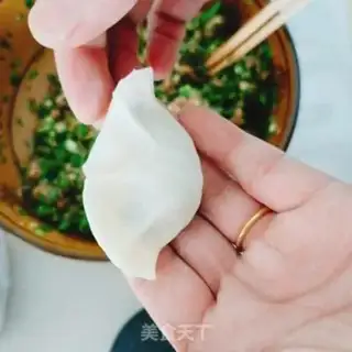 Make Pork dumplings step 8