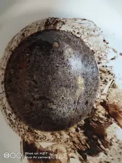 Make Chocolate mousse cake step 0