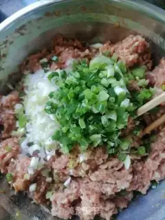 Make Pork dumplings step 3