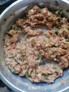 Make Pork dumplings step 5