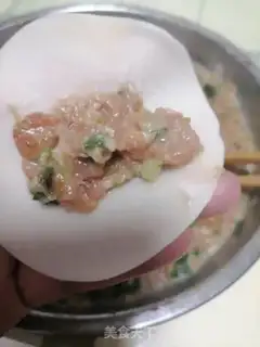 Make Pork dumplings step 7