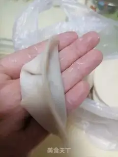 Make Pork dumplings step 8