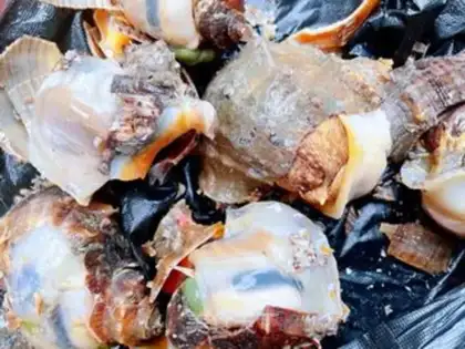 Make Snails with carrots step 1