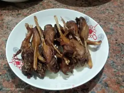 Make A duck