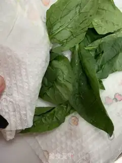 Make Village garden vegetable packs step 4