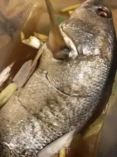 Make Squirt fish step 0