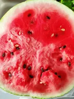 Make Watermelon freezes on milk step 0