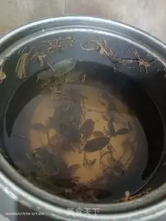 Make Green Bean Water step 3