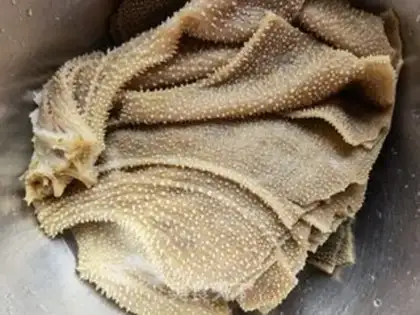 Make Pelican hair step 0
