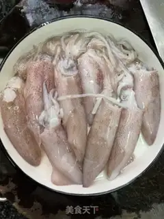 Make Squidfish step 0