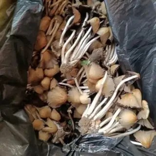 Make Willow mushroom egg soup step 0