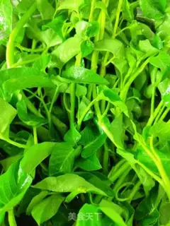 Make Hot peppers and cabbage step 0