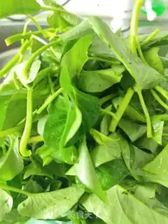 Make Hot peppers and cabbage step 1