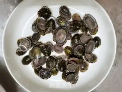 Make Swallow steamed eggs step 4