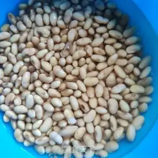 Make Soybeans step 2