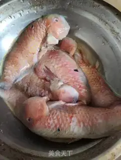 Make Parrot fish step 0