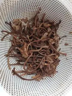 Make Tea mushroom fried meat step 2