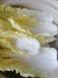 Make A florist fan step 3