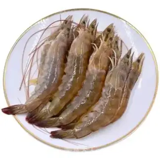 Make Shrimp step 0