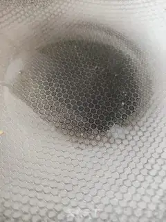 Make Pumpkin step 2