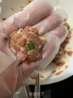 Make Porkballs step 6