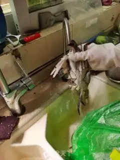 Make Tide poison step 3