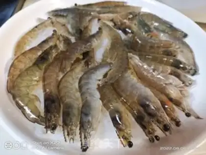 Make Garlic fan steamed shrimp step 3