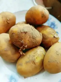 Make Crack potatoes step 0