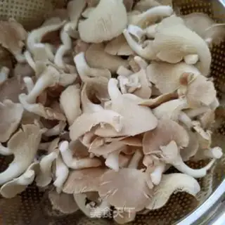 Make The seametrius fried mushrooms step 0
