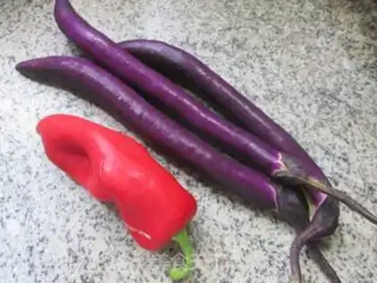 Make Paprika step 0