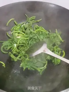 Make Clear the pumpkin seedlings step 3