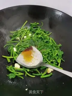 Make Clear the pumpkin seedlings step 5