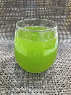 Make Celery cucumber juice step 9