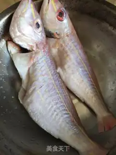 Make Red fish step 0
