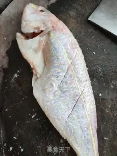 Make Red fish step 1