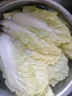 Make Sour cabbage step 0