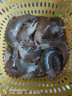 Make Garlic shrimp step 0
