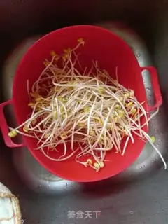 Make Bean sprouts step 0