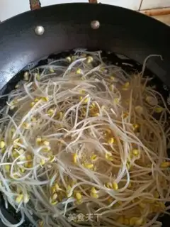 Make Bean sprouts step 2