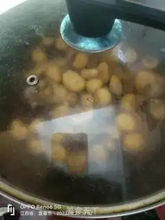 Make Chicken step 9