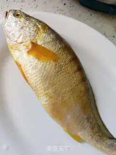 Make Vacuated yellowfish step 0