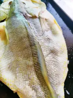 Make Vacuated yellowfish step 1